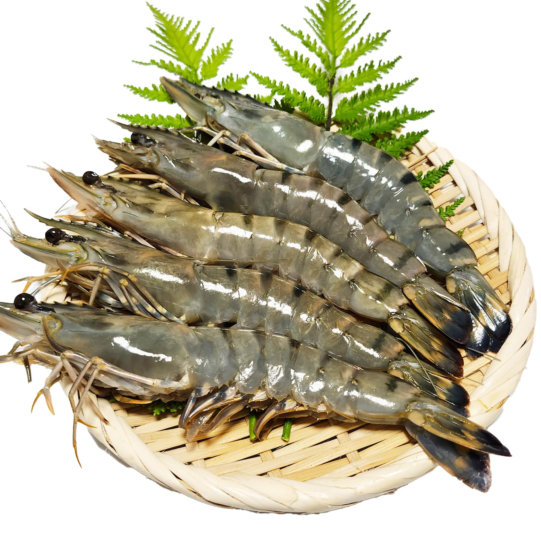 有頭海老 20尾入り ブラックタイガー 1.3 冷凍 海老 エビ 大型 エビフライ エビチリ