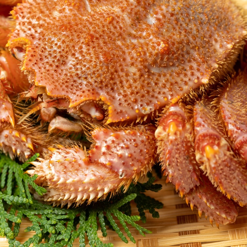 毛蟹 超特大 1kg2尾セット カニ かに 毛ガニ 毛がに 札幌 ボイル 北海道産