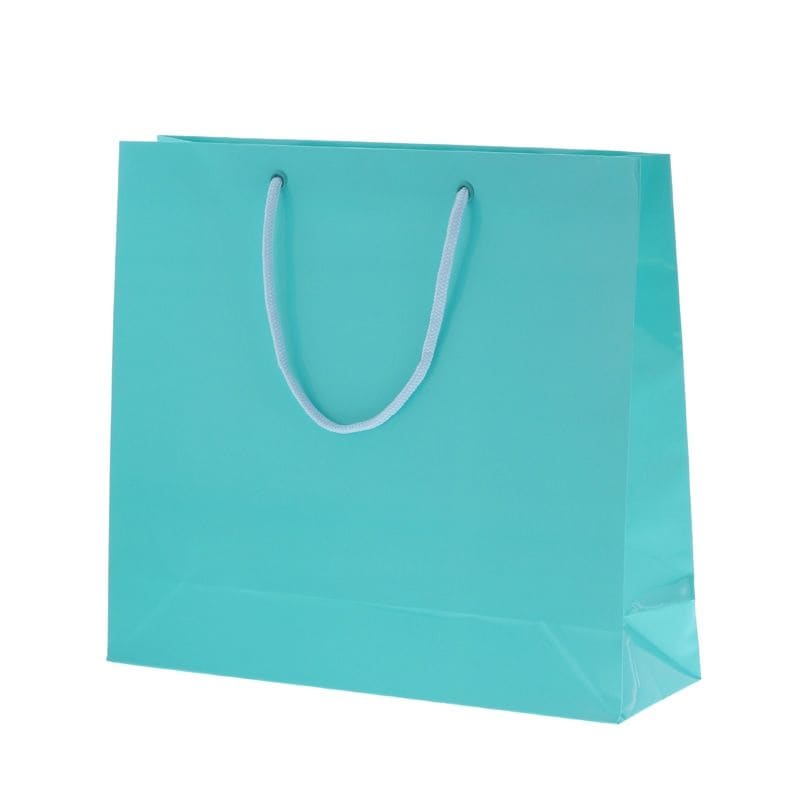 （まとめ買い）シモジマ HEIKO 手提げ紙袋 ブライトバッグ GM 浅葱 10枚 幅330xマチ100x高300mm 006137910 [x3セット]