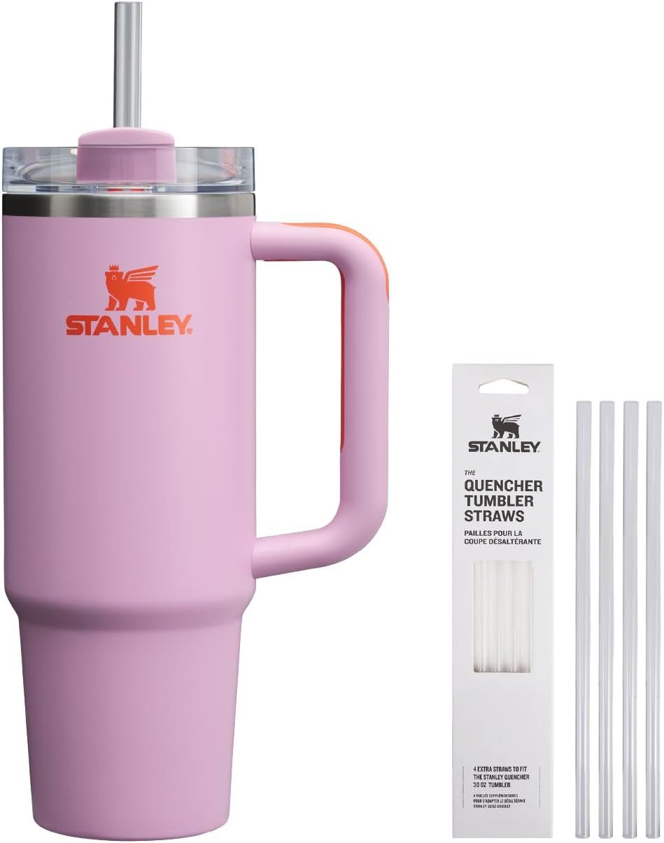 真空クエンチャー 2025年発売カラー 保冷 頑丈 ストロー 水筒 タンブラー 880ml アウトドア 食洗機可 保証 (日本正規品)