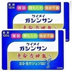 【第2類医薬品】 恵命我神散Ｓ 120包2個セット