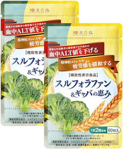 和漢の森 スルフォラファン&ギャバの恵み（2袋） 機能性表示食品 GABA配 血中ALT値を下げる 疲労感を緩和する しじみ ウコン 田七人参 60粒