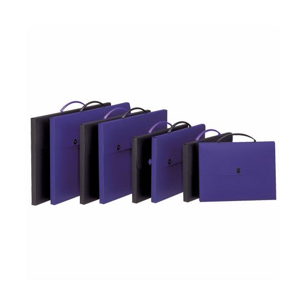 (まとめ) ライオン事務器 デザインケース B3ブラック DS-283 1個 (×5セット)