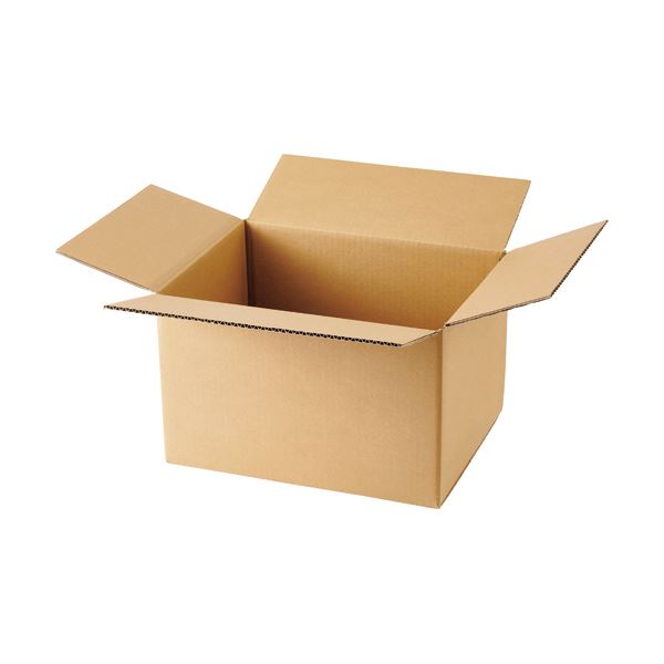 （まとめ）TANOSEE 無地ダンボール箱 B4ワイド判対応サイズ 高さ260mm 1パック（10枚） 5セット