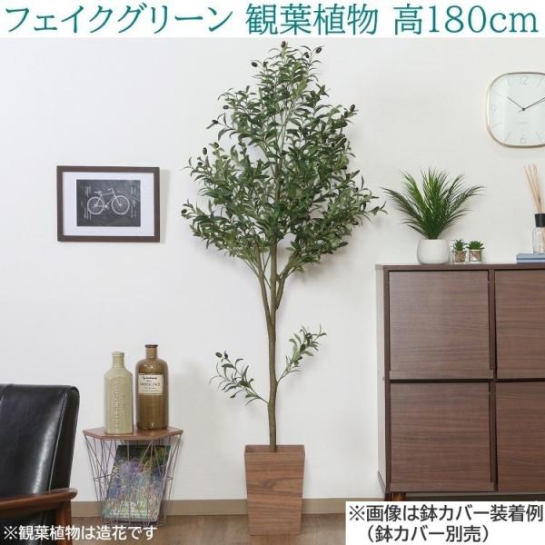 人工観葉植物 高さ180cm 大型 フェイクグリーン ジョイント式 造花 オリーブ 室内 観賞用植物 グリーン 鉢カバー別売