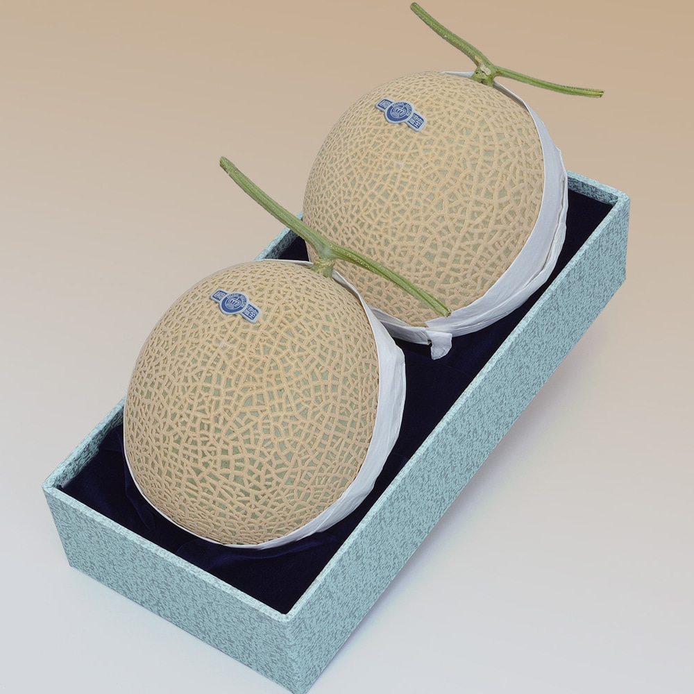 【静岡県産クラウン マスクメロン 2玉（約2.8kg) 林フルーツ】