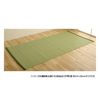 日本製 洗えるカーペット グリーン 江戸間3畳 約174×261cm 1090250121002