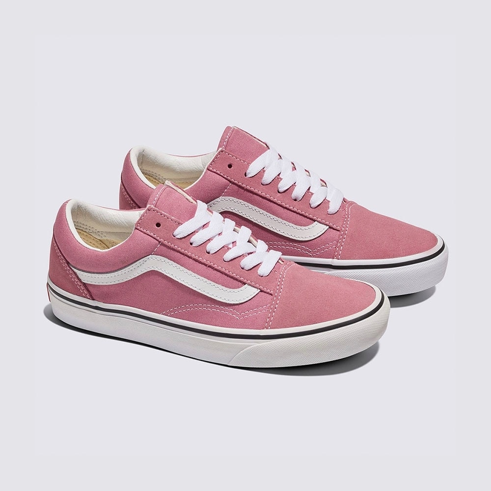 バーンズオールドスクール-カラフルフォックスグローブ/VN000CT8C3S1