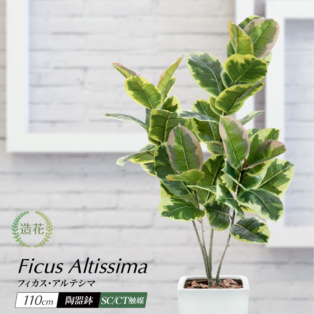 フェイクグリーン フィカス アルテシマ 110cm 鉢植 CT触媒