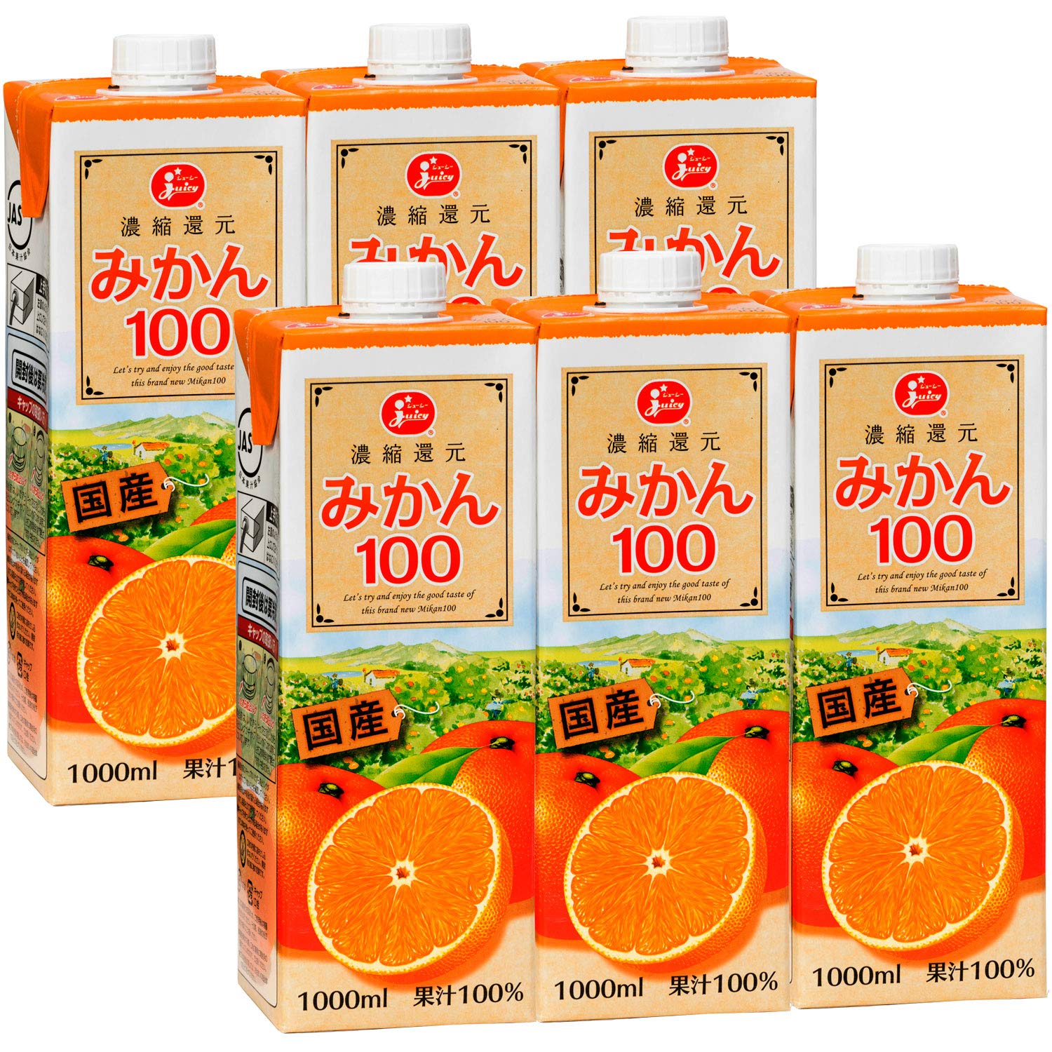 ジューシー みかん100 1000ml ×6個