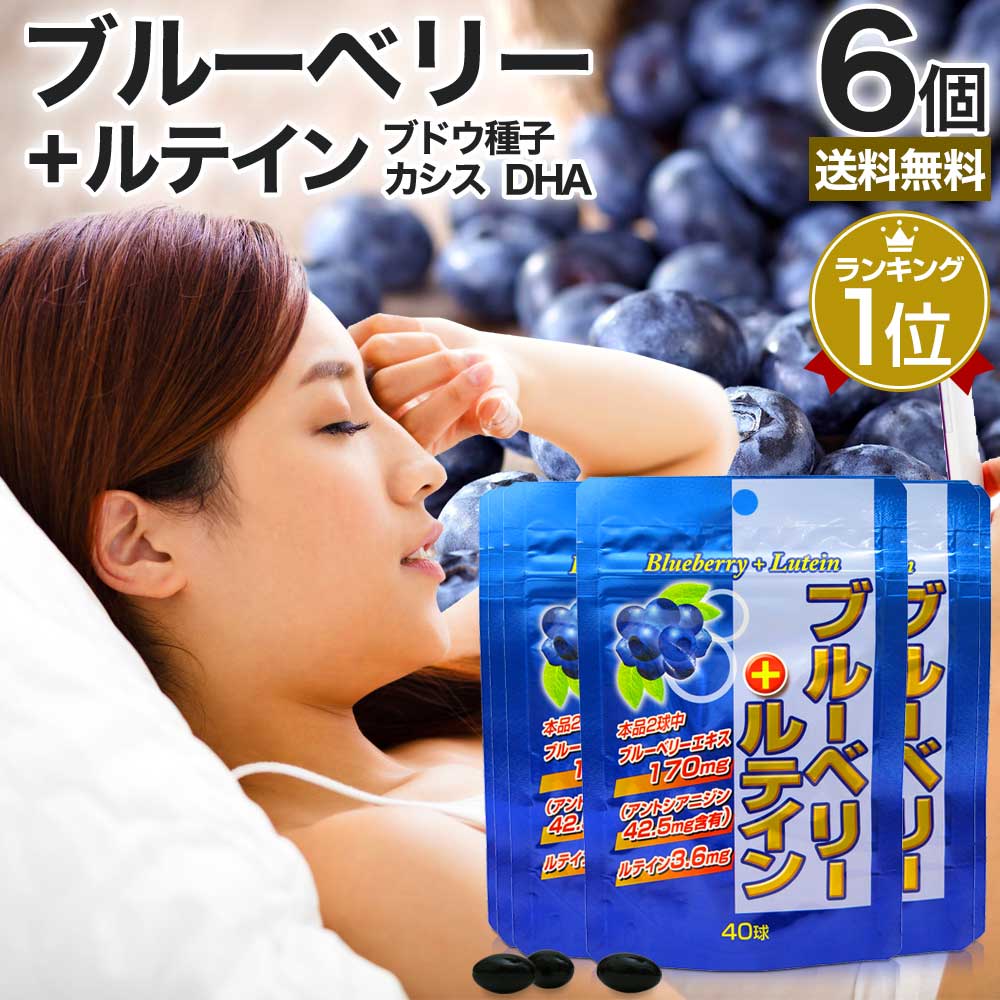 ブルーベリー＋ルテイン 40球*6個 約120-240日分 ブルーベリーサプリメント ブルーベリーサプリ サプリメント サプリ