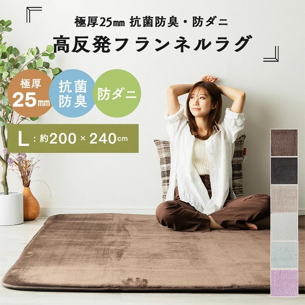 極厚 フランネル ラグ 抗菌 防臭 防ダニ 3畳 200×240cm フランネルラグ ラグマット カーペット マット 絨毯 ホットカーペット ホットカーペットカバー 床暖房 センターラグ リビングラグ 7,309円