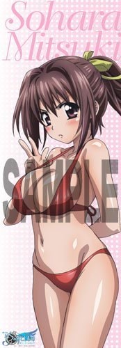 劇場版　そらのおとしもの　ロングタペストリー　月見そはら