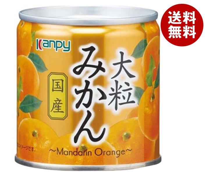 カンピー 国産大粒みかん 190g＊12個入＊(2ケース)