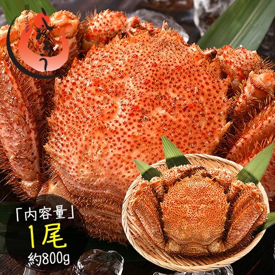 毛蟹 毛がに 毛ガニ 800g前後1尾 北海道産