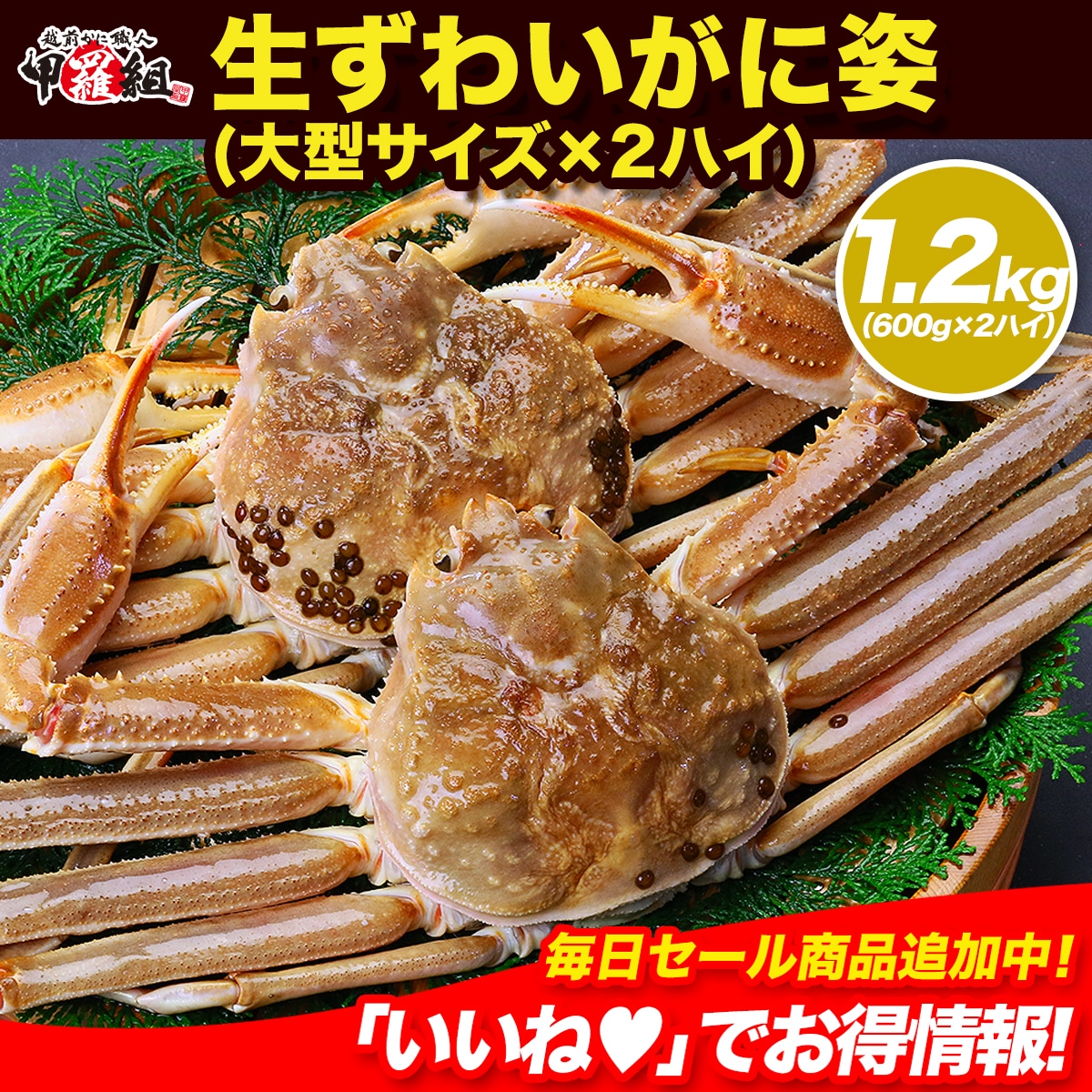 【メガ割セール中】鮮度抜群！生ずわいがに姿 超特大サイズ 大型サイズ600g前後×2ハイ