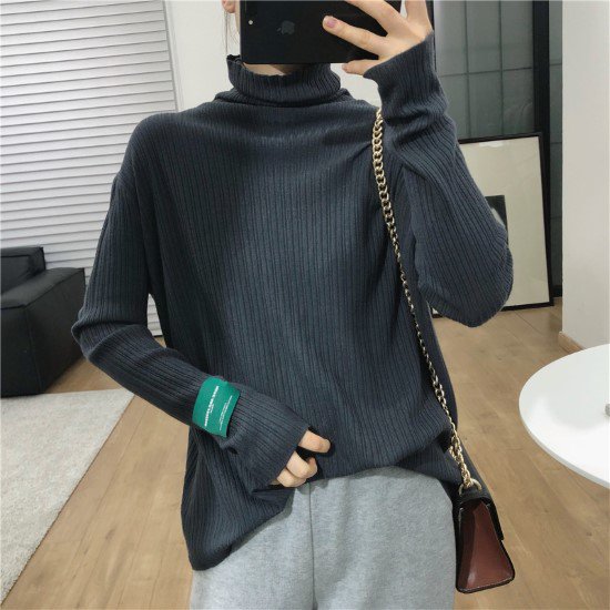 【取寄：納期2週間】ニットトップス レディース ニット セーター トップス ハイネック リブニット 長袖 プルオーバー カジュアル インナー きれいめ シンプル 無地 袖ロゴ ゆったり