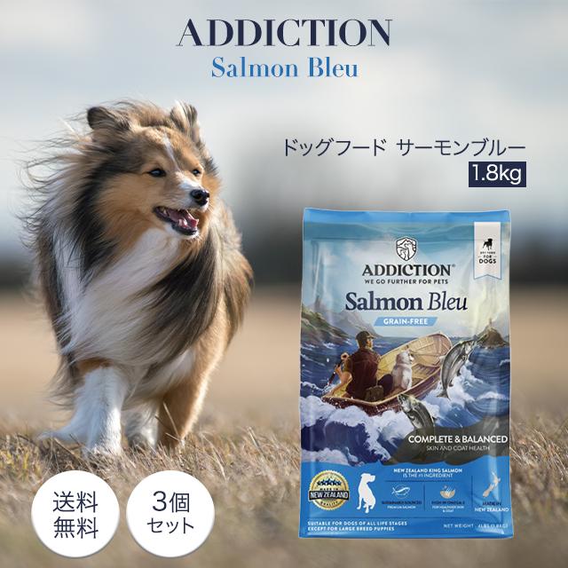 京焼 萌葱金襴手扇面茶碗 手塚大示