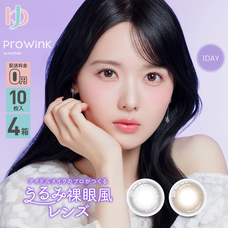 プロウィンク ProWink 10枚入 4箱セット カラコン ワンデー