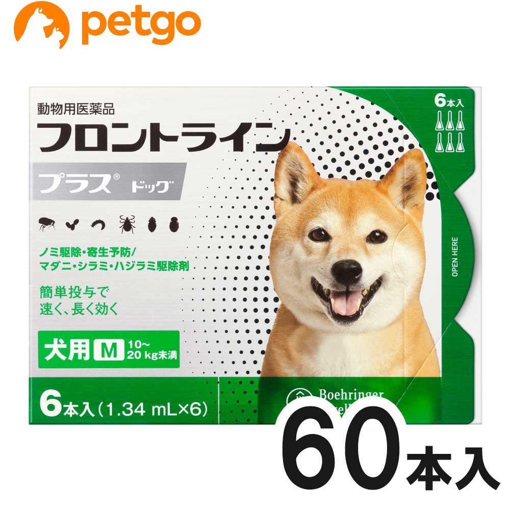 【10箱セット】犬用フロントラインプラスドッグM 10kg～20kg 6本（動物用医薬品）