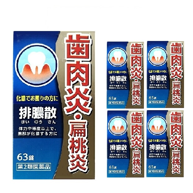 【第2類医薬品】排膿散エキス錠Ｊ 63粒 5個セット はいのうさん 【正規品】