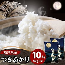 【数量限定】福井県産つきあかり 10kg(5kg2袋) 白米 令和6年産