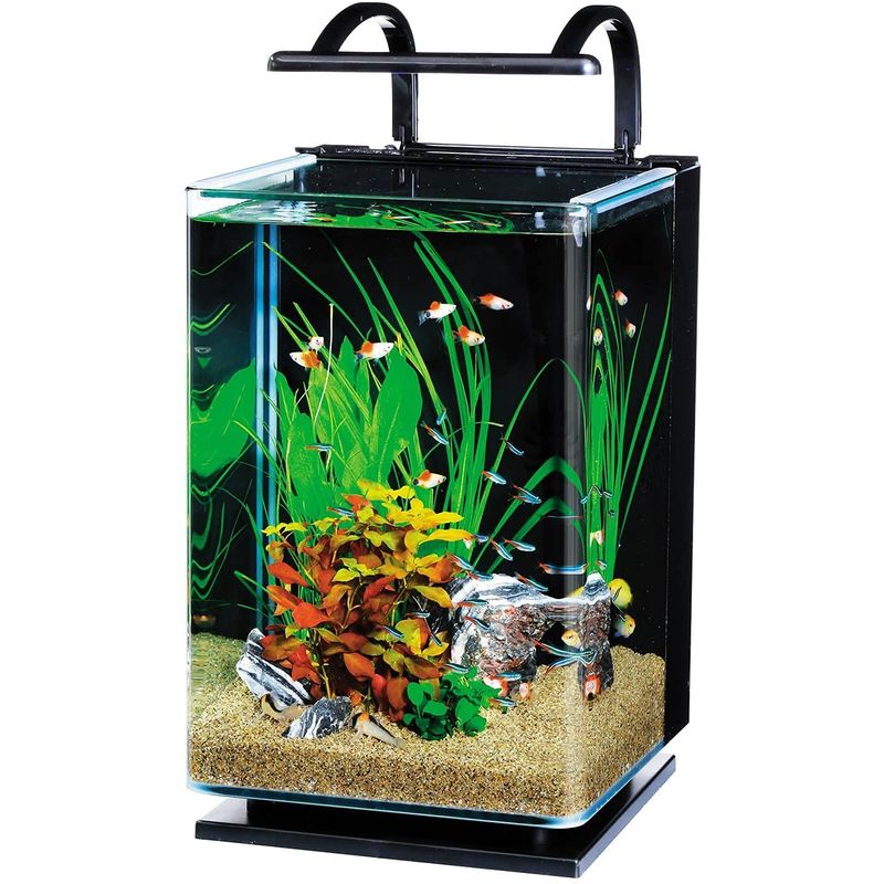 リビングキューブ 20 オールインワン水槽 淡水・海水用 (容量 約20L) 水槽 アクアリウム 熱帯魚 メダカ 金