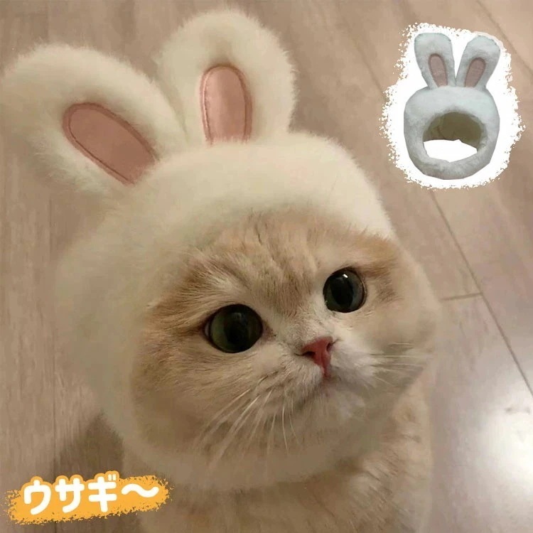 新品大人気帽子 猫 小型犬用 ハロウィン ウサギ帽子 ペットグッズ コスプレ衣装 コスチューム ペット いぬ用 ねこ用 おもしろい 可愛い クリスマス パーティー 記念写真撮影