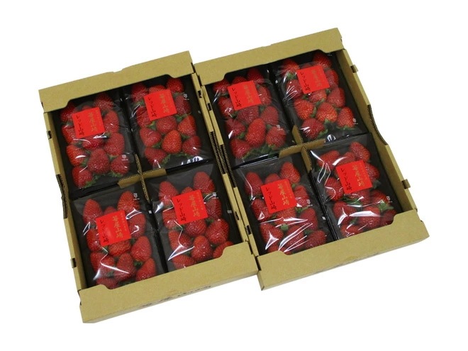 静岡県 =苺屋山崎 レッド山崎= 秀品 4pc（1pcあたり約250g）x2箱 予約 1月下旬以降