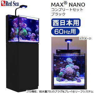 Qoo10] レッドシー ＭＡＸ ＮＡＮＯ Ｇ２ ＣＵ