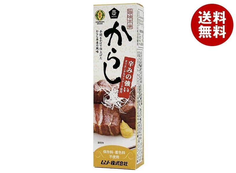 ムソー 旨味本来 からし(チューブ入り) 40g×10本入×(2ケース)