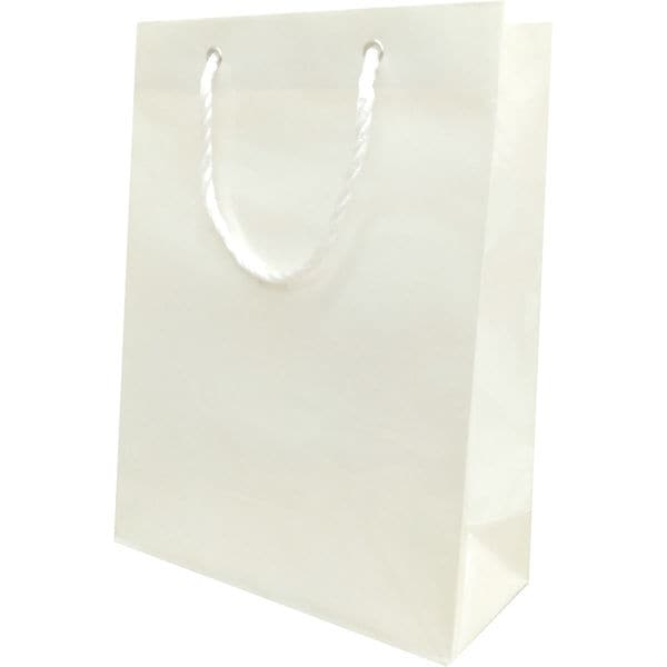 （まとめ買い）マツシロ 無地ビニールカバーバッグ 手提げ袋 10枚入 白 縦44x横33cm 62BC2 [x3]