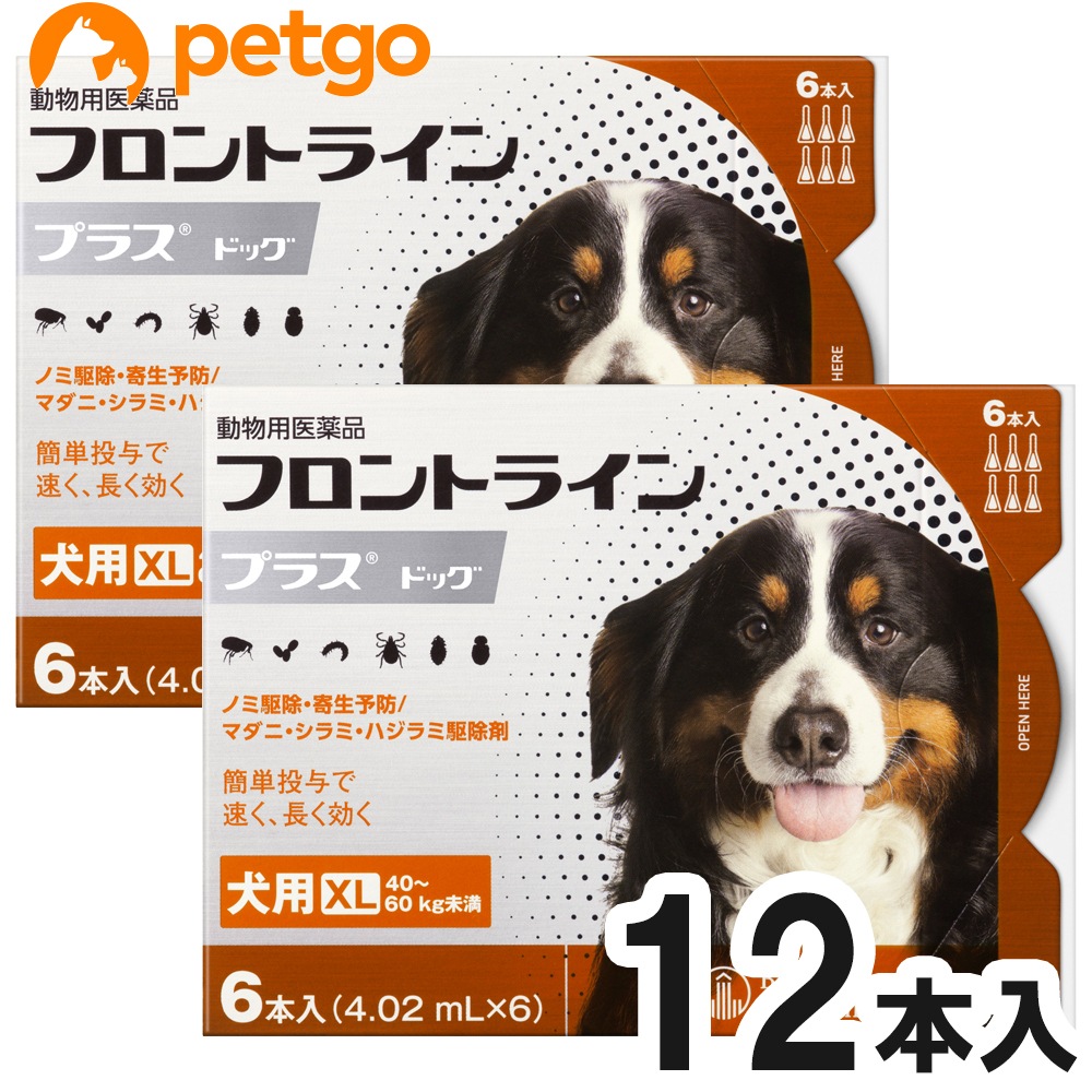 【2箱セット】犬用フロントラインプラスドッグXL 40kg～60kg 6本（動物用医薬品）