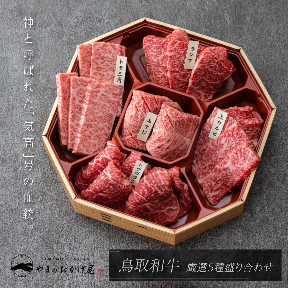 鳥取和牛 5種類の希少部位焼肉500g　　国産 鳥取 和牛 贈答 ギフト お中元 お祝い 焼肉 母の日 父の日 お歳暮