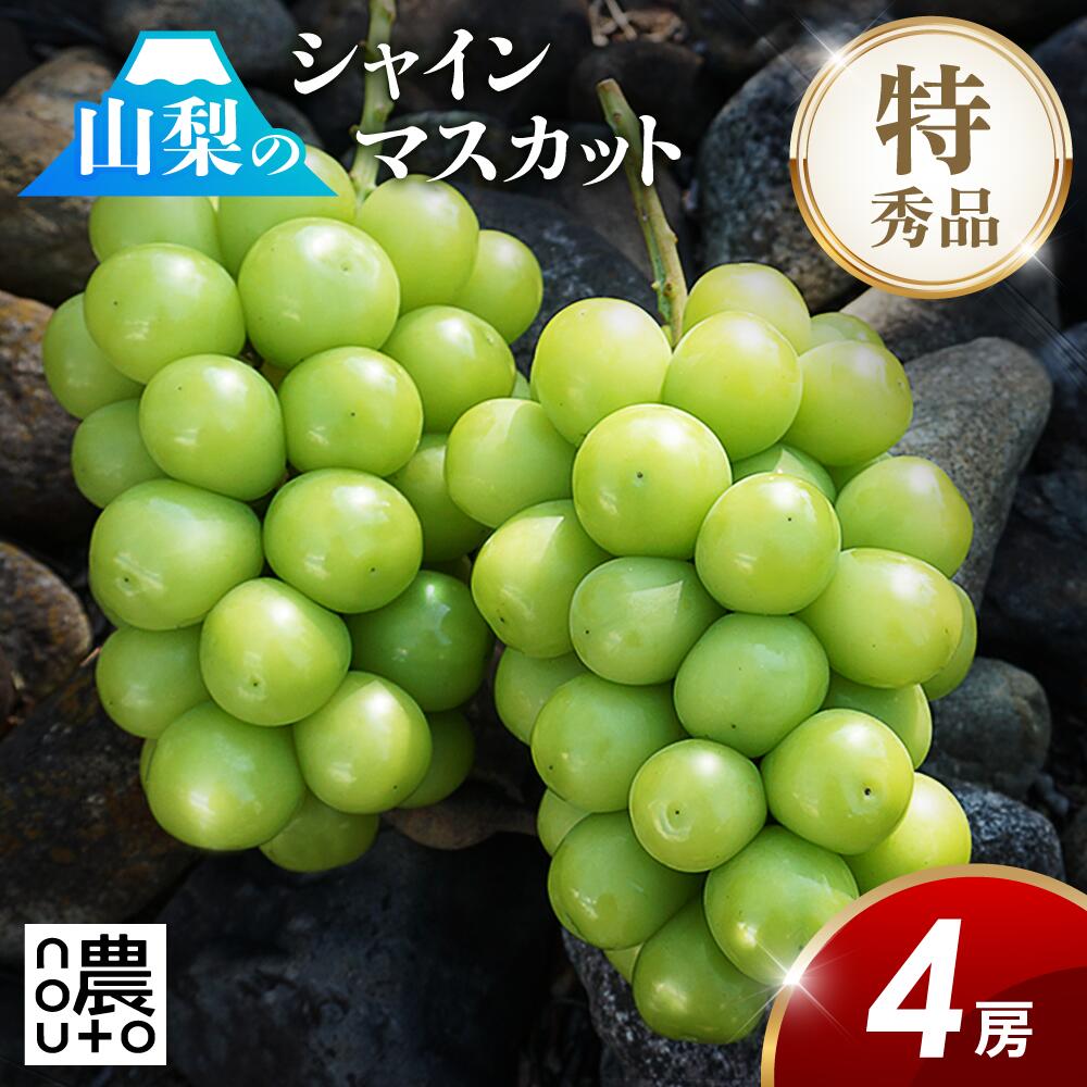 シャインマスカット 特秀品 大粒 山梨産 笛吹市 【4房 2kg 前後】 ふるさと納税サイトでランキング常連　皆様に大好評いただいている商品です