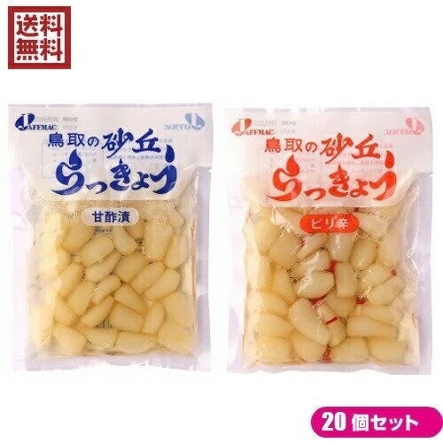 らっきょう らっきょう漬け 国産 ジャフマック 砂丘らっきょう 全２種 20セット
