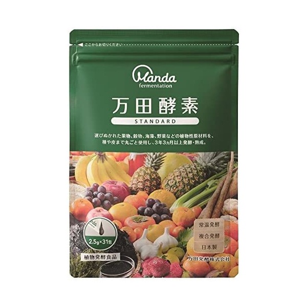 STANDARD ペースト 分包 タイプ 31包