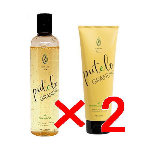 【送料無料】【正規品販売商品】プテロ putelo ／ グランディール シャンプー 300ml ＋ グランディール ヘア＆スカルプパック 240ml 【2セット】
