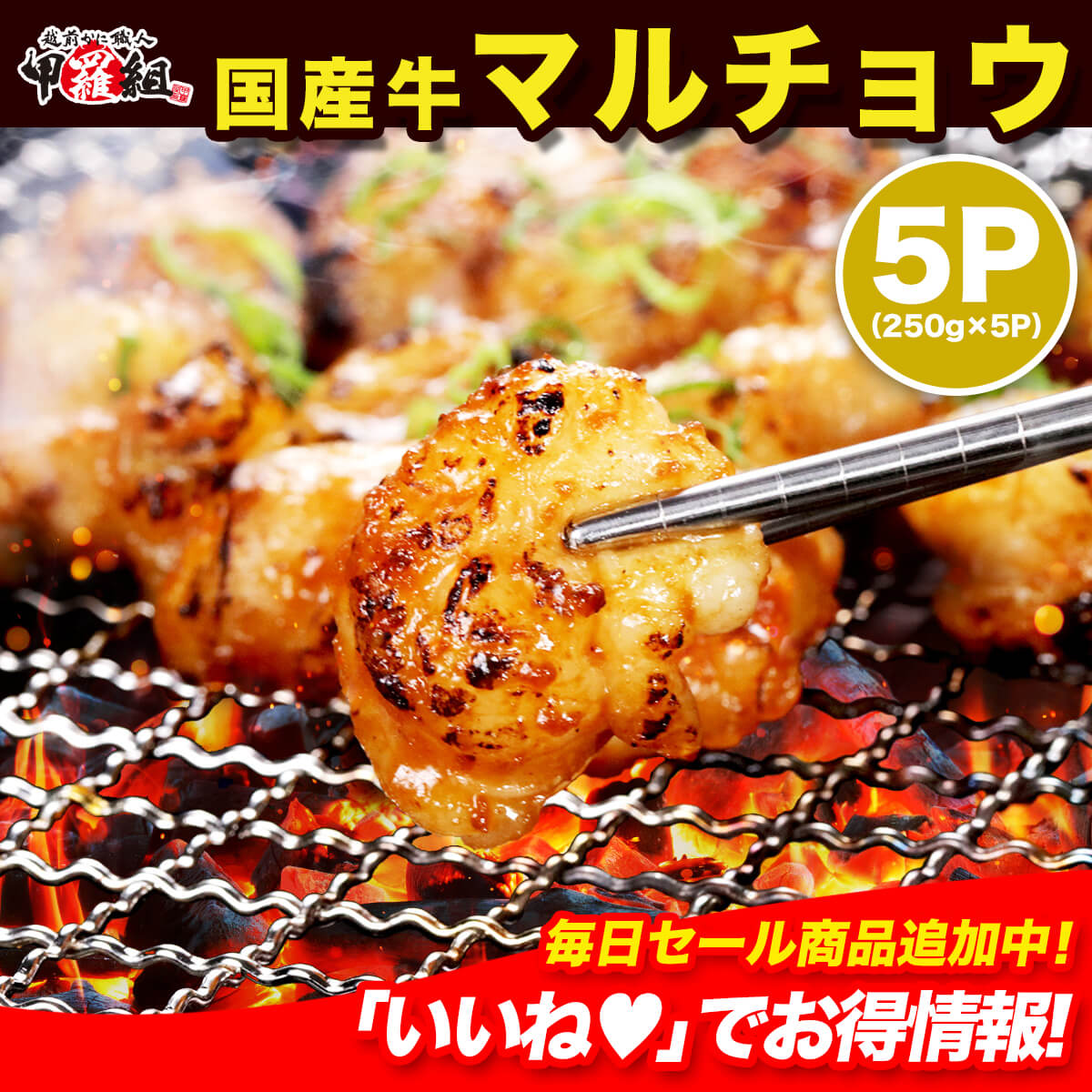 【メガ割セール中】国産 牛 マルチョウ 250g × 5袋 ホルモン ほるもん ヒモ ひも ホソ ほそ モツ もつ コプチャン 焼肉 冷凍 BBQ バーベキュー まるちょう 丸腸 小腸