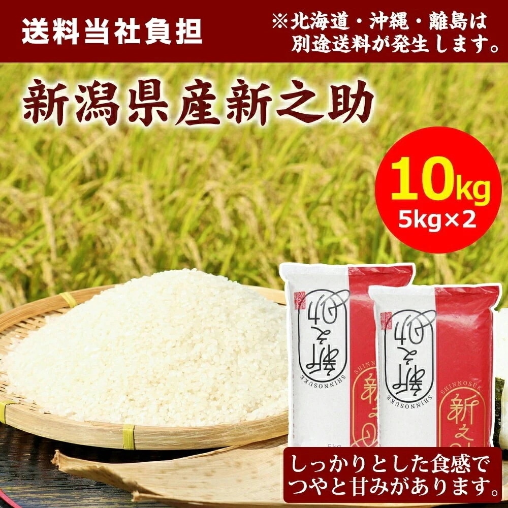 【令和7年産】田中米穀 新潟県産 新之助 10kg(5kg×2袋) 米 精米 お米