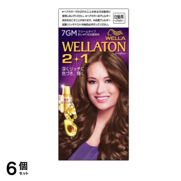 トーン2+1(ツープラスワン) クリームタイプ 7GM 明るいマットブラウン [A剤60g+B剤60g+エッセンス7.3mL] 1個 6個セット 8,770円