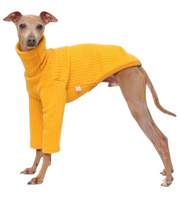 ウィペット服 無地 ニット Tシャツ 中型犬 大型犬 イタグレ服 秋 冬 室内着 インナー 4,723円