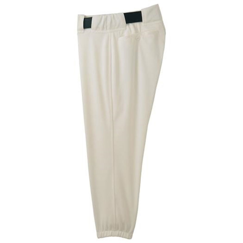 ミズノプロ パンツ/ショートタイプ 野球 ウエア ミズノプロ 12JD2F03