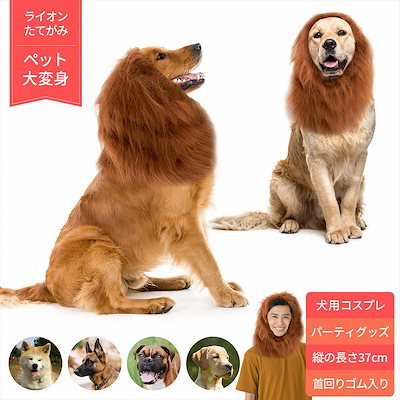 Qoo10 ライオン ライオン たてがみ 犬用 コスチューム ペット