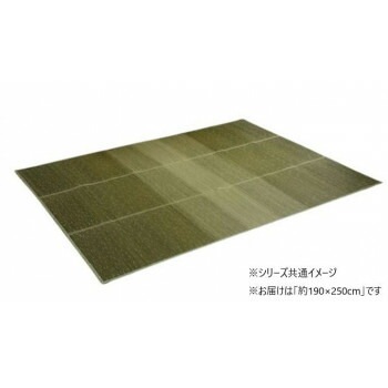 カーペット い草ボリュームラグ クリア 190x250cm グリーン 1070480124203