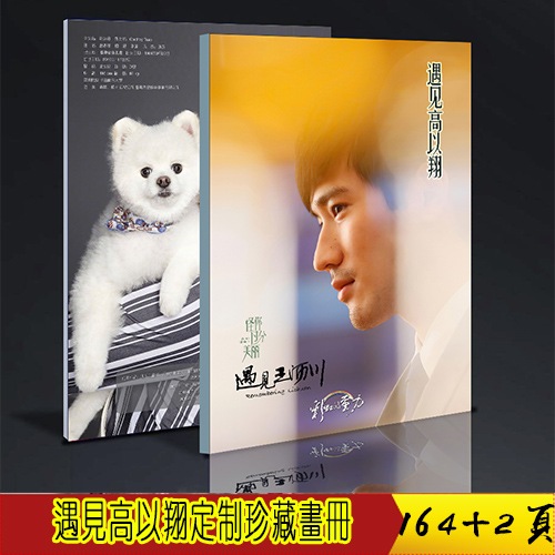 タレントグッズ 中国俳優高以翔 写真ブック 画集 A4サイズ 164+2p 中国限定グッズ コレクシ