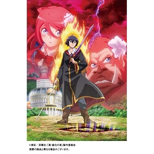 真・進化の実 知らないうちに勝ち組人生 DVD BOX (DVD) KWBA-2871