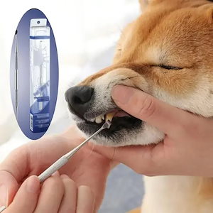 3営業日発送犬の歯のクリーニング,ペットの歯のためのステンレス鋼の消毒剤,子犬の口を作るための,口腔洗浄ツール,スクレーパー