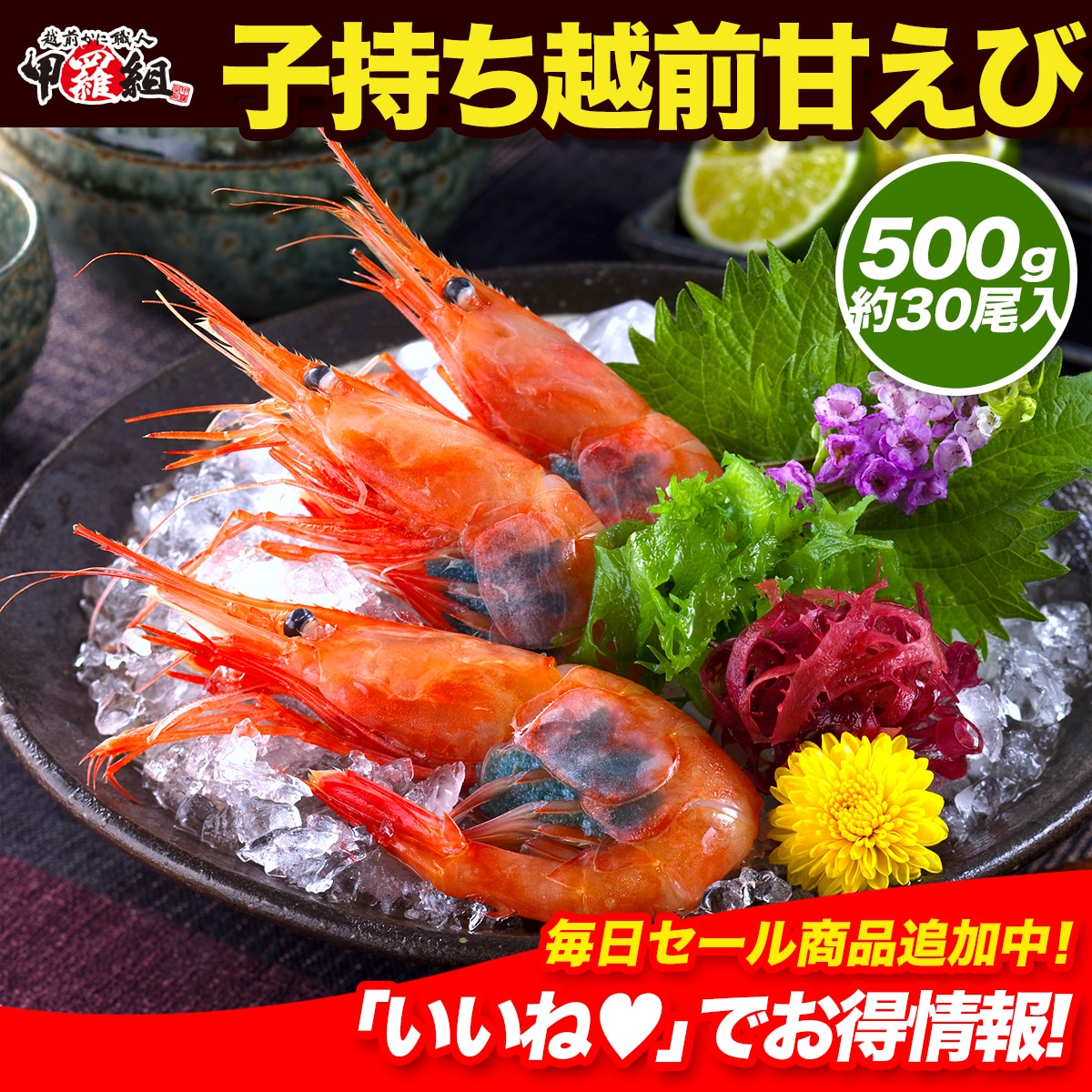 日本海船上急速凍結の一級品！子持ち越前甘えび特大サイズ500g（30尾前後）【エビ】【えび】【あまえび】【アマエビ】【甘エビ】