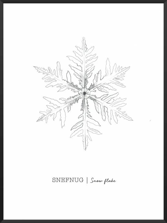 PROJECT NORD SNOWFLAKES POSTER アートプリント/ポスター 6,134円